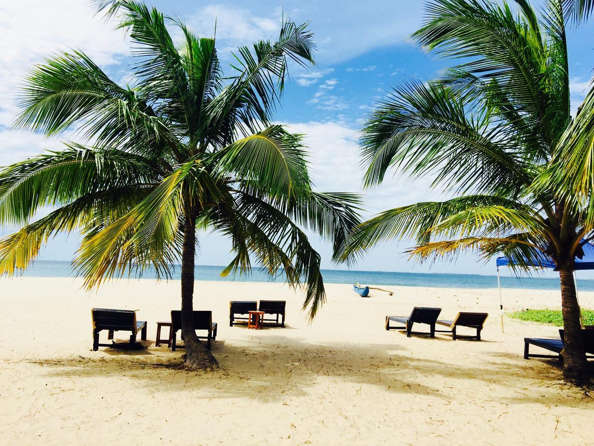 Aqua Marine Beach Resort 파시쿠다 외부 사진